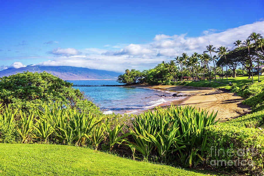Maui Hawaii Ulua Beach Wailea Makena Photo Photograph by Paul Velgos