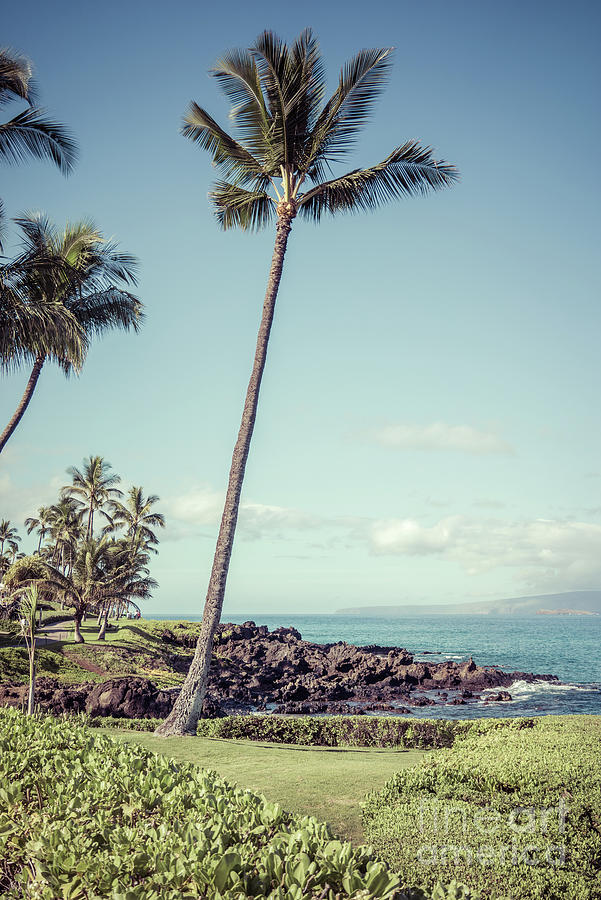 Maui Hawaii Wailea Makena Retro Photo Photograph by Paul Velgos