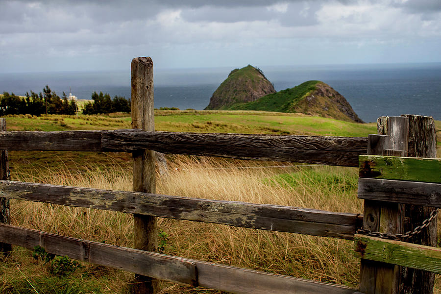 Maui Island Fences Photograph by Ivete Basso Photography