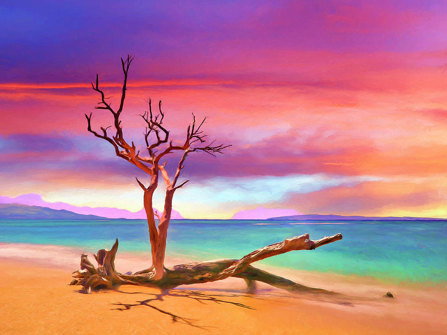 Maui Morning Painting by Dominic Piperata