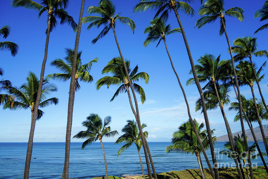 Maui Paradise Photograph by Wilko van de Kamp Fine Photo Art