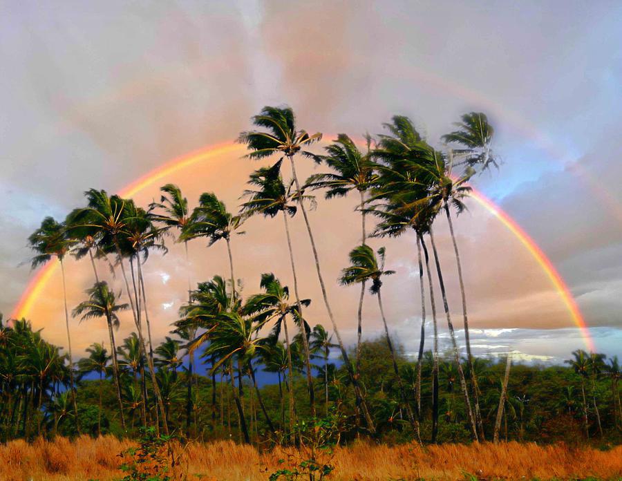 Maui Rainbow Photograph by Vernon Platt - Fine Art America