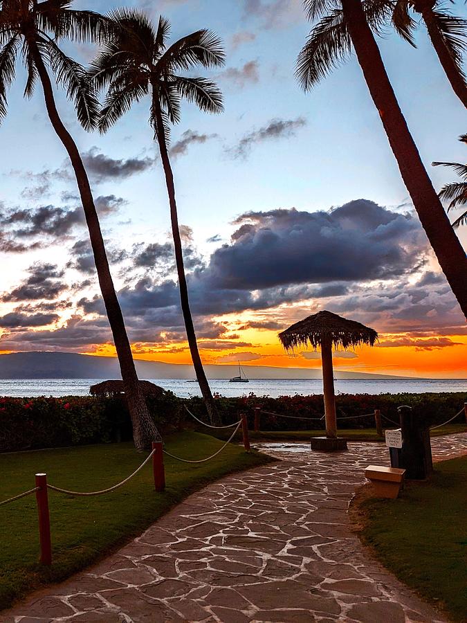 Maui Sunset 3 Photograph by Steed Edwards