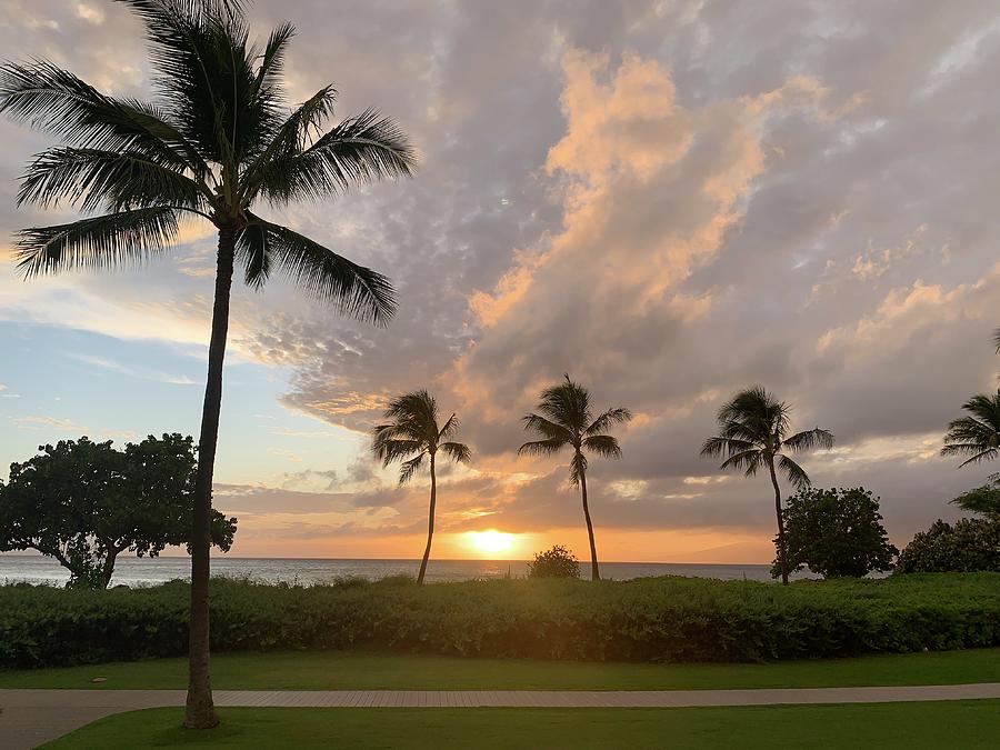 Maui Sunset Photograph by Cindy McIntyre