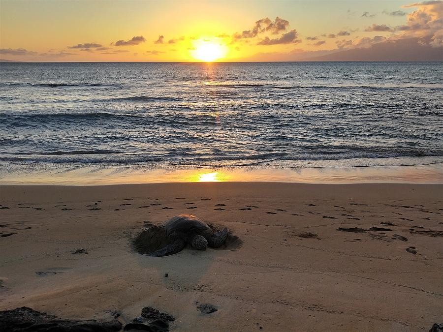 Maui Sunset Photograph