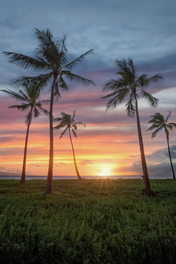 Nature Photograph - Maui Sunset by Steve Berkley