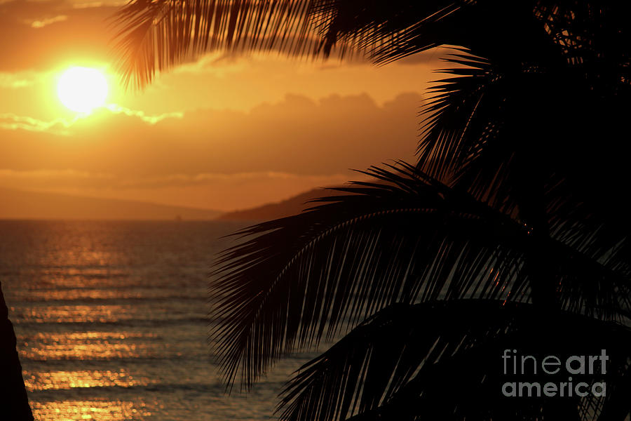 Maui Sunset Photograph by Wilko van de Kamp Fine Photo Art
