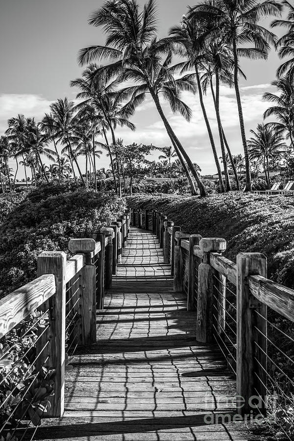 Maui Wailea Beach Path Black and White Photo Photograph by Paul Velgos