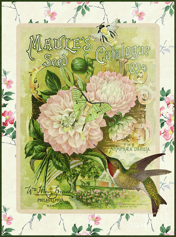 Maules Seed Catalog Painting by Tina LeCour Maules Seed Catalog Painting by Tina LeCour