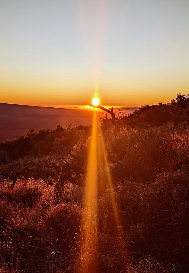 Mauna Kea Golden Sunset Photograph by Lori Seaman