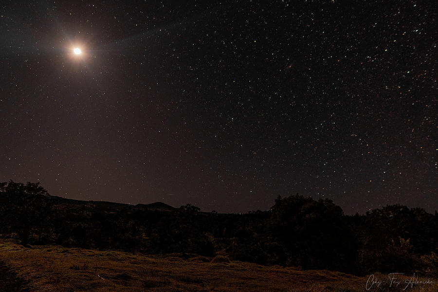 Mauna Kea night sky Photograph by Cody-Fay Alameda