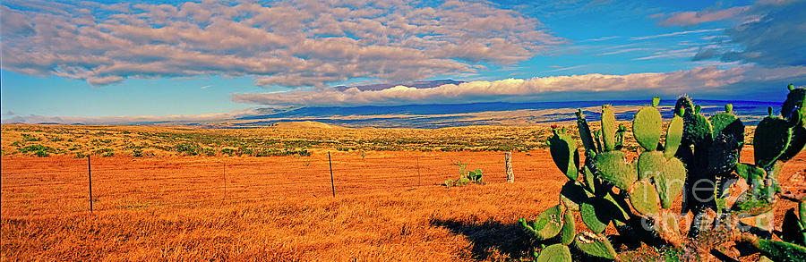 Mauna Kea, Waimea Vally, Parker Ranch, Big Island, 309010065 Photograph by Tom Jelen