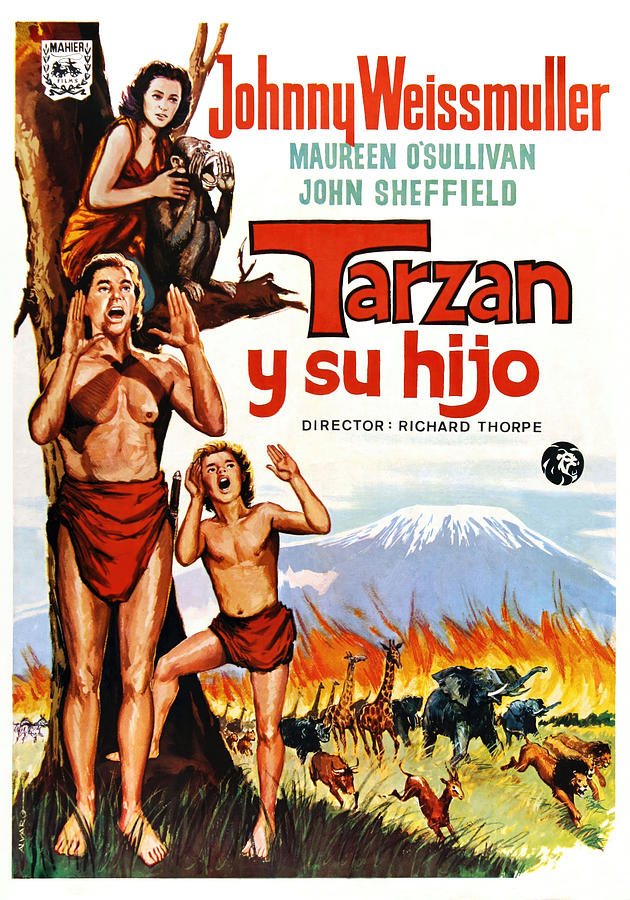 MAUREEN OSULLIVAN, JOHNNY SHEFFIELD and JOHNNY WEISSMULLER in TARZAN FINDS A SON -1939-. Photograph by Album