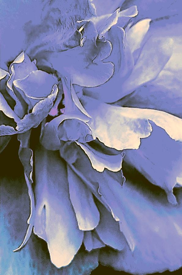 Mauve Abstract Macro Flower Digital Art by Loraine Yaffe