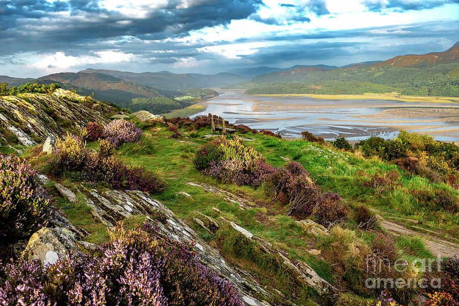 Mawddach River Estuary In Snowdonia National Park Near The City Of Barmouth In Wales, United Kingdom Photograph by Andreas Berthold