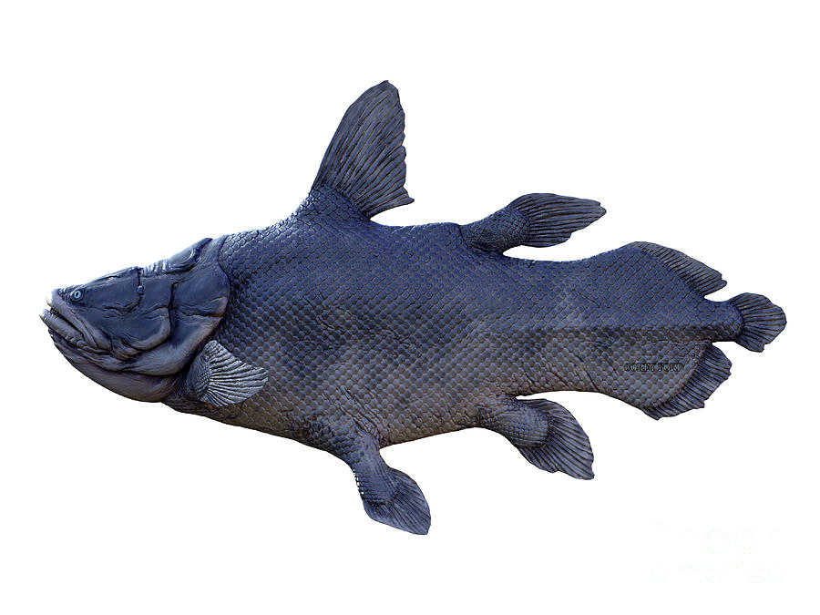 Mawsonia Fish Side Profile Digital Art by Corey Ford