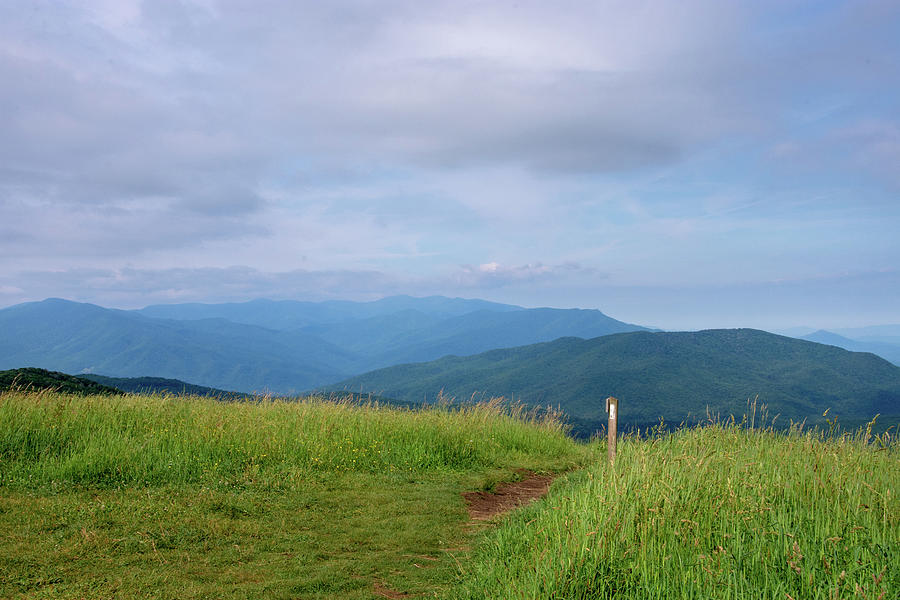 Max Patch Appalachian Trail Photograph by Keri Lee - Pixels