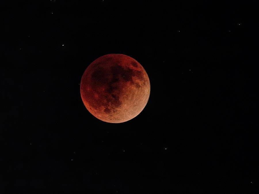 May 16 2022 Super Blood Moon Photograph by Dale Kauzlaric