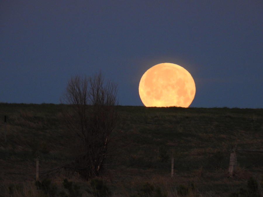 May 2022 Full Moon Setting 4 Photograph by Amanda R Wright