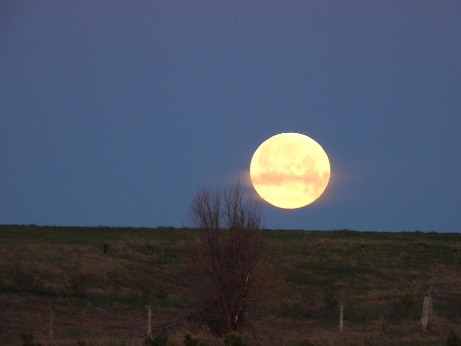 May 2022 Full Moon Setting Photograph by Amanda R Wright