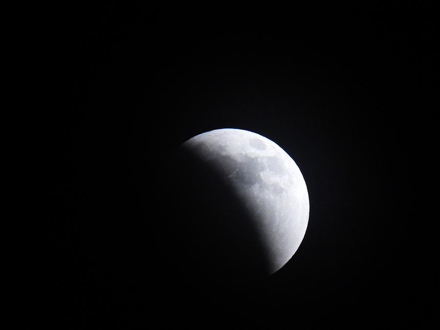 May 2022 Lunar Eclipse Photograph by Amanda R Wright