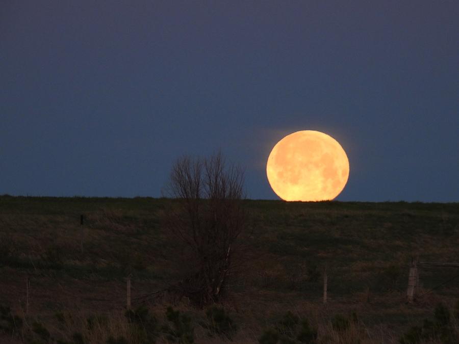 May 2022 Full Moon Setting 3 Photograph by Amanda R Wright