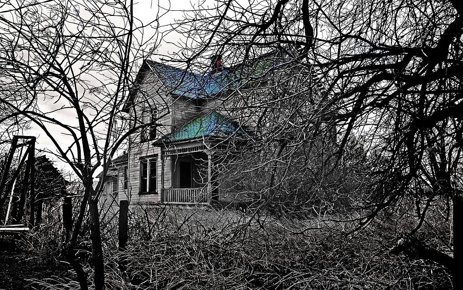May Homestead In Selective Color  Digital Art by Fred Loring