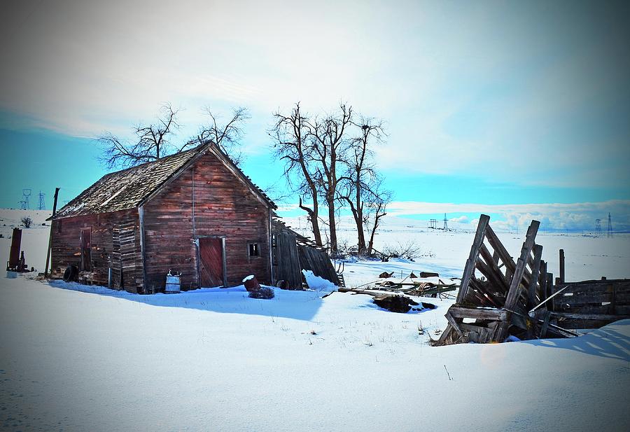  May Homestead, The Small Barn In Winter.  Digital Art by Fred Loring