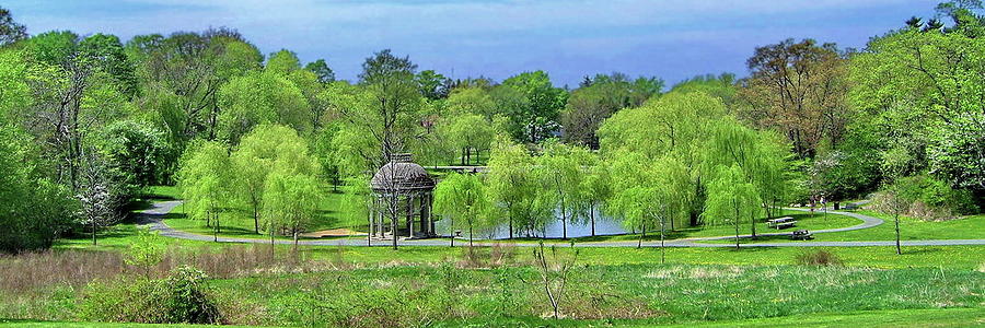 May in Larz Anderson Park, Panoramic View Photograph by Lyuba Filatova