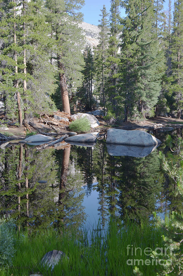 Yosemite National Park Photograph - May Lake Trailhead Vertical by Debby Pueschel