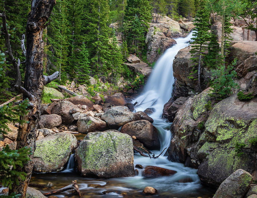 May - Rocky Mountain Falls Photograph by Jack Clutter