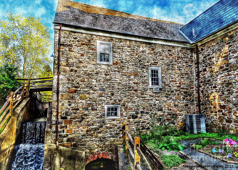May Springs Up At The Grist Mill Photograph