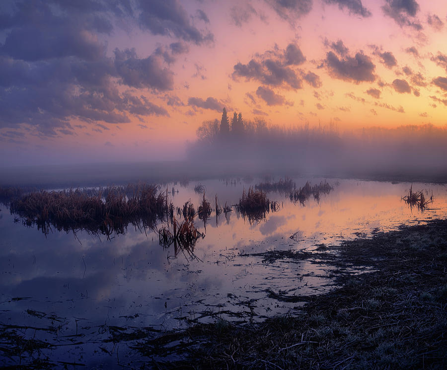 May Morning at the Pond Photograph by Dan Jurak