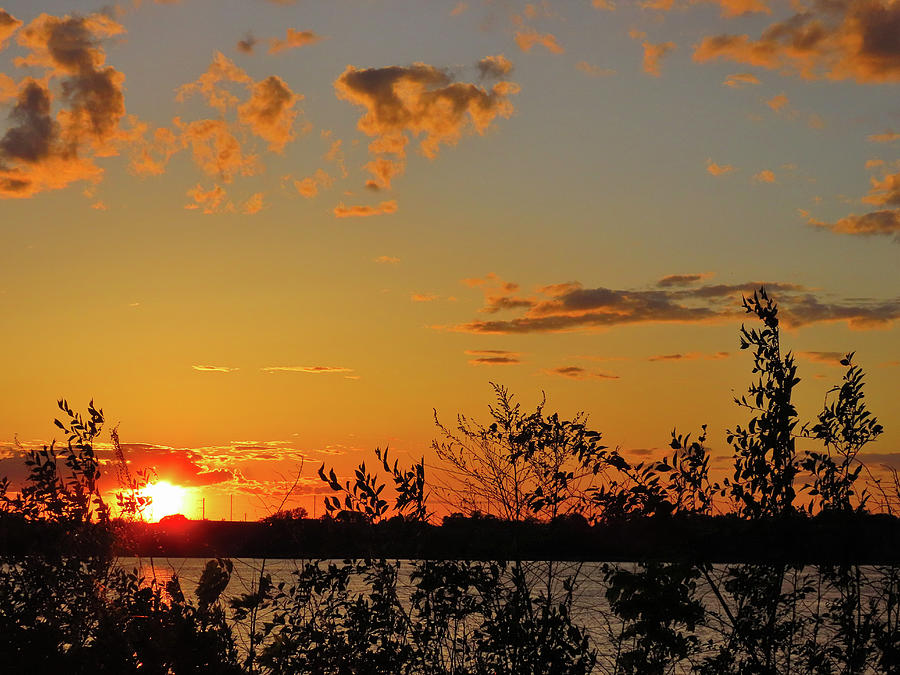 Sunset Through the Leaves on the Delaware River Photograph by Linda Stern