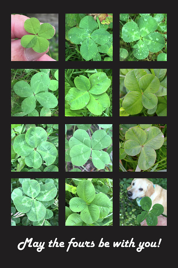 May the Fours Be With You lucky four leaf print with text Photograph by Matthew Irvin