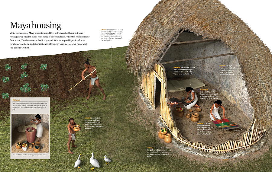 Maya housing Digital Art by Album