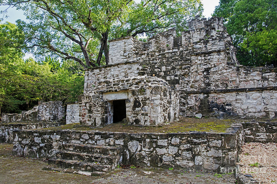 Maya Ruins at Muyil, Yucatan, Mexico Photograph by Arterra Picture Library