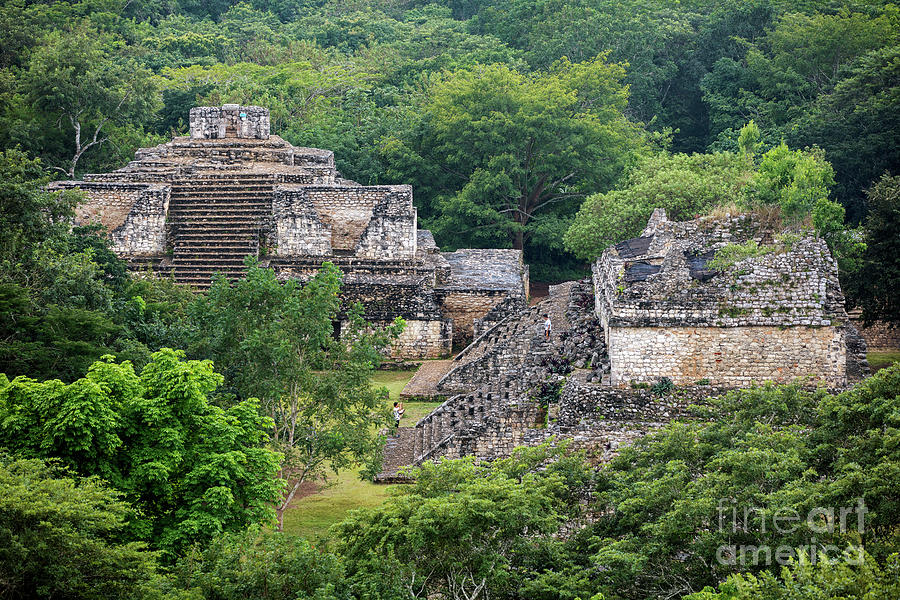 Maya temples at Ek Balam, Yucatan, Mexico Photograph by Arterra Picture Library