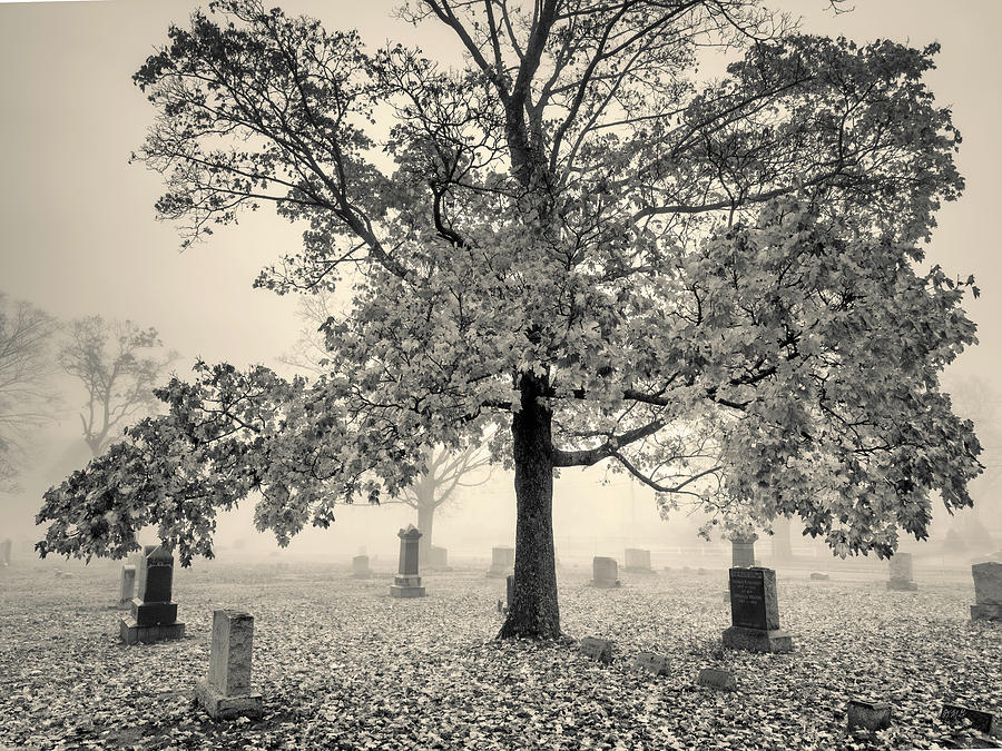 Fall Photograph - Mayflower Hill III Toned by David Gordon