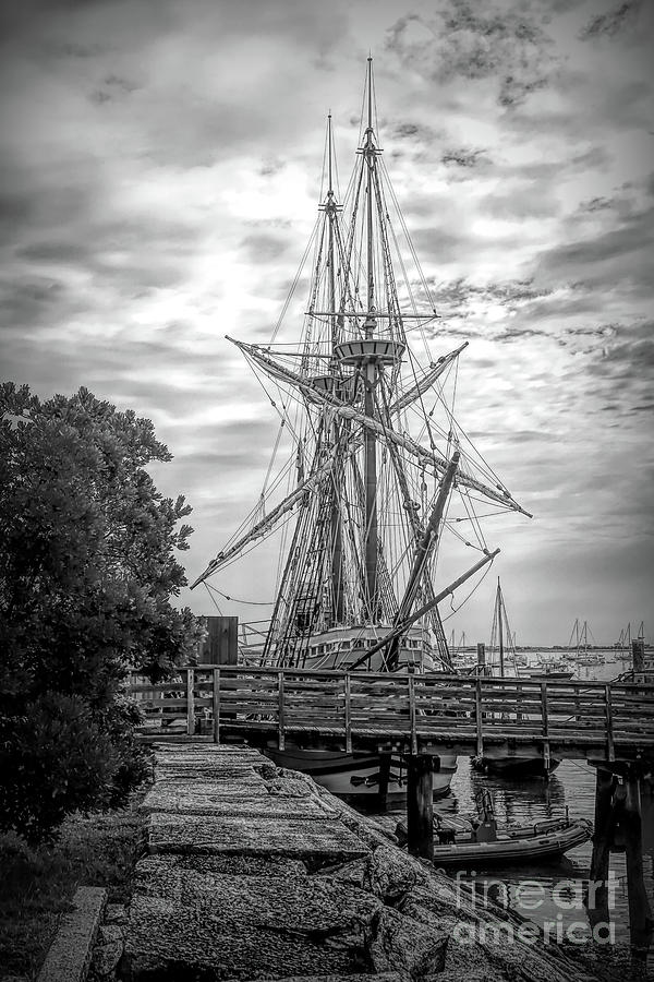 Mayflower II in mourning  Photograph by Janice Drew
