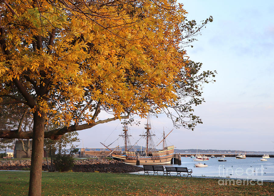Mayflower in October Photograph by Janice Drew