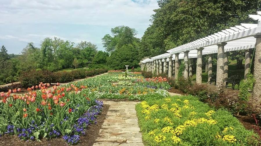 Maymont Gardens Photograph by Charlotte Gray - Fine Art America