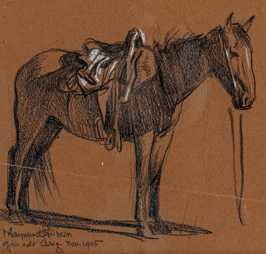 Maynard Dixon  Horse Study, 1905 Digital Art by Celestial Images
