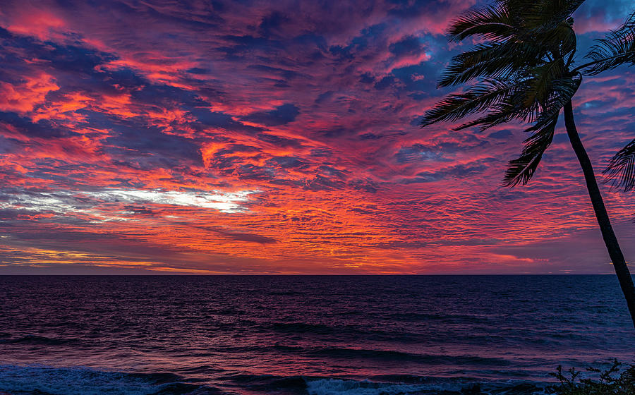 Mazatlan Sunsets  Photograph by Tommy Farnsworth