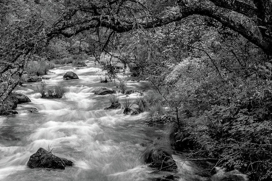 Mcarthur-burney Falls Creek Black And White Photograph