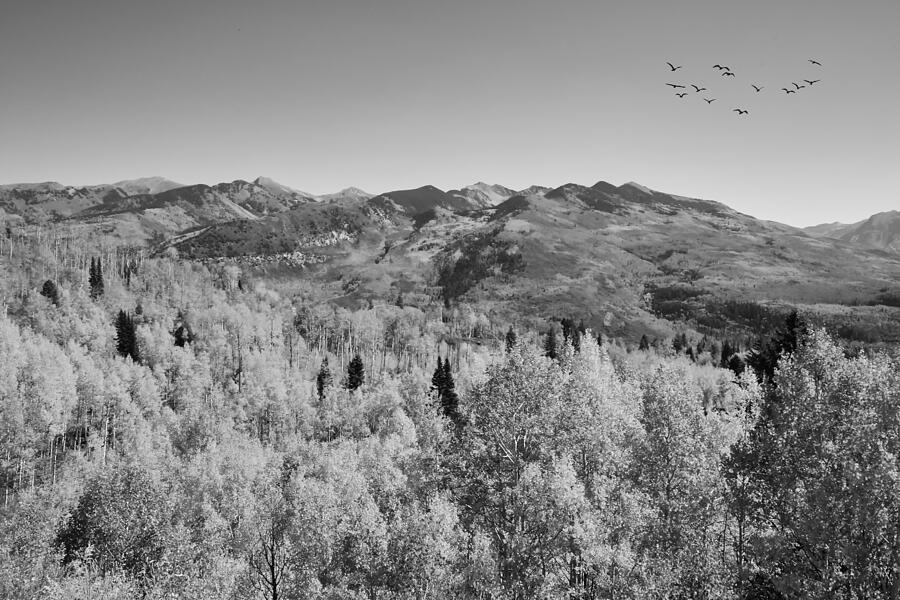 McClure Pass Colorado 1 Black and White Photograph by Judy Vincent ...