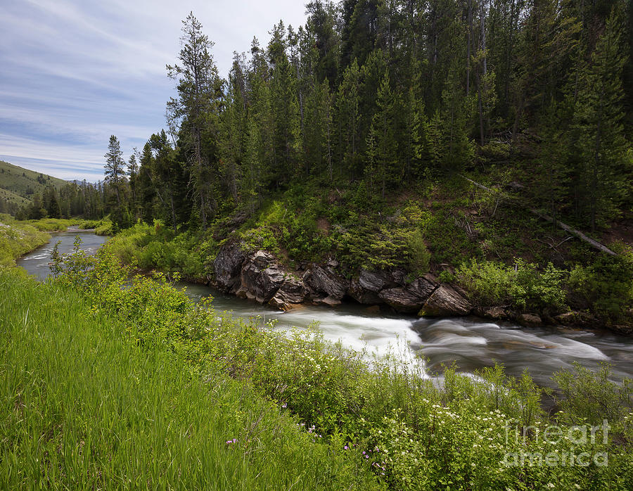 Nature Photograph - McCoy Creek Summer by Idaho Scenic Images Linda Lantzy