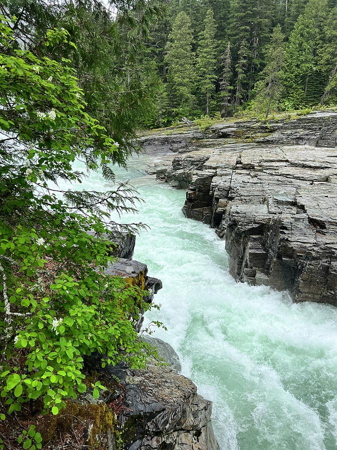 McDonald Falls Photograph by Daniel Butterworth - Fine Art America