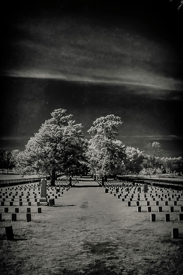 McGavock Confederate Cemetery Photograph By David Hardy Fine Art America   Mcgavock Confederate Cemetery David Hardy 