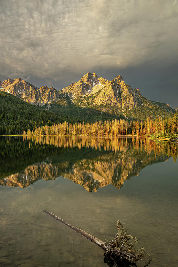 Nature Photograph - McGown Peak Reflected by Paul Freidlund